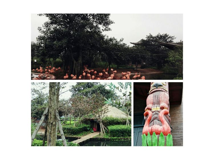 海南之旅感悟,海南行的点滴回忆