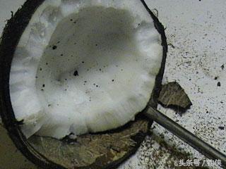 自制鱼洞,用椰子做窝