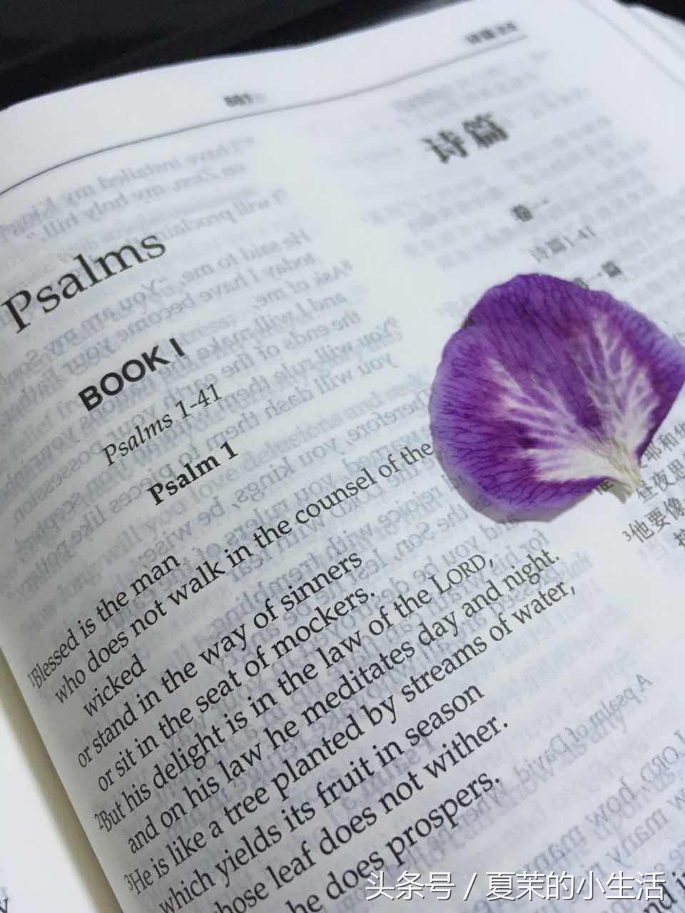 求正解！大头儿子的衣服是怎么穿进去的？