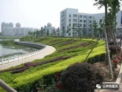 最帅的男生都在哪个学校,我国最帅十大高校男生