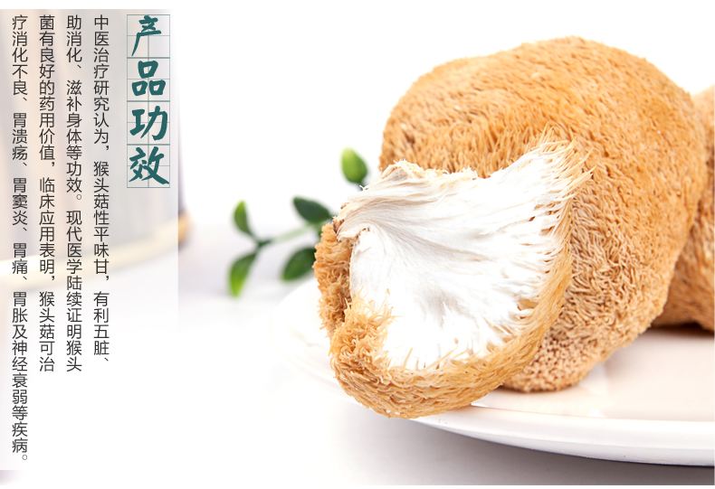 为什么说猴头菇能抗癌,猴头菇对治疗癌症的疗效