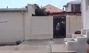 献血400ml会头晕严重不,第一次献血头晕出虚汗怎么回事