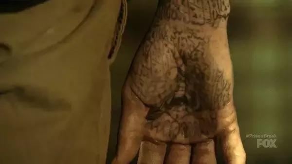 越狱第四季迈克尔得了什么病,越狱第五季迈克尔最后一个请求