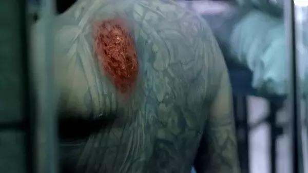 越狱第四季迈克尔得了什么病,越狱第五季迈克尔最后一个请求