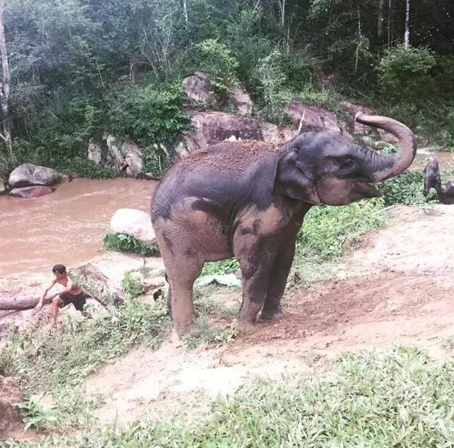 泰国清迈chiangmai古城,清迈吃喝玩乐攻略