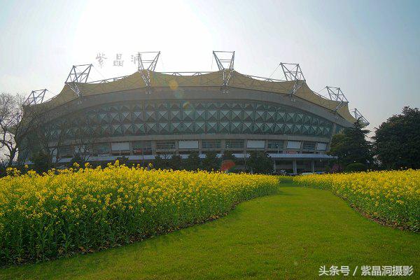 上海看樱花公园,上海看樱花去同济大学