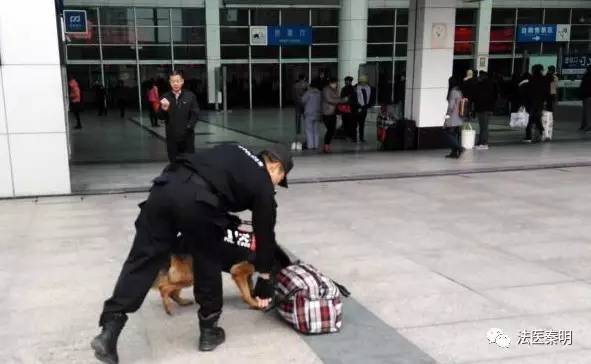 你知道体香是什么吗,体香是什么人才能闻到