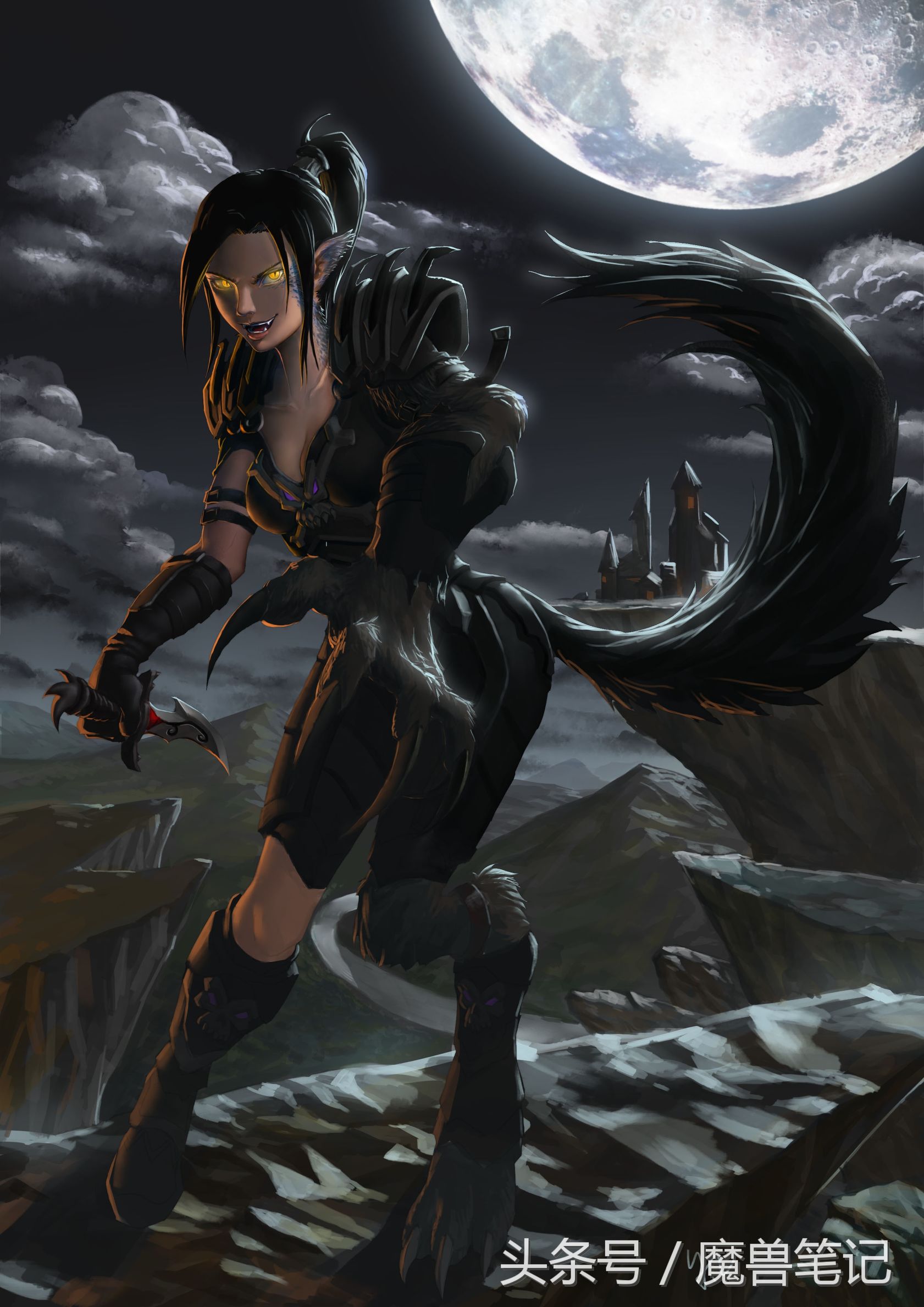 魔兽世界wlk盗贼种族,魔兽世界60年代盗贼种族