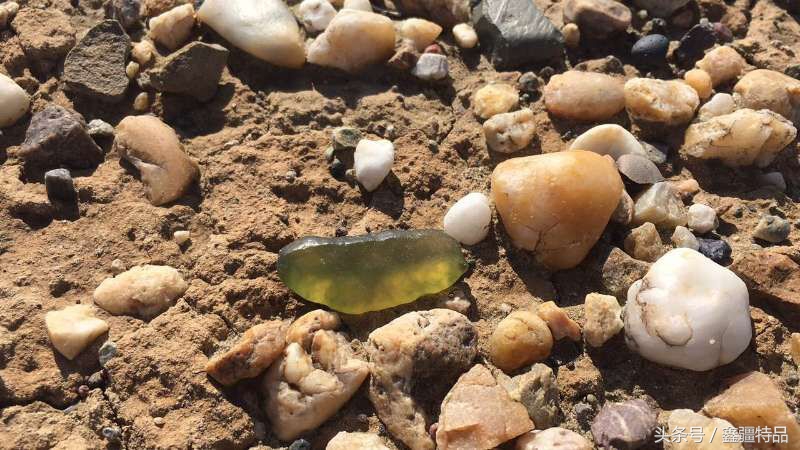 金丝玉宝石光在哪捡,捡金丝玉海蓝宝石的地方