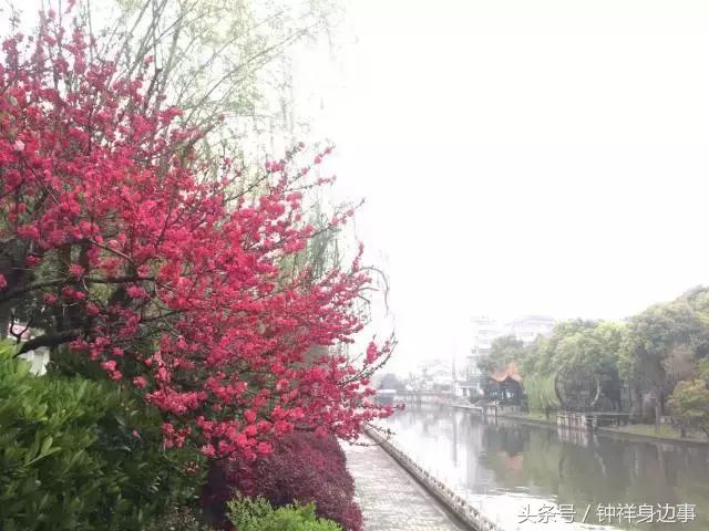 一封辞职信火遍长春,又一封辞职信刷爆朋友圈