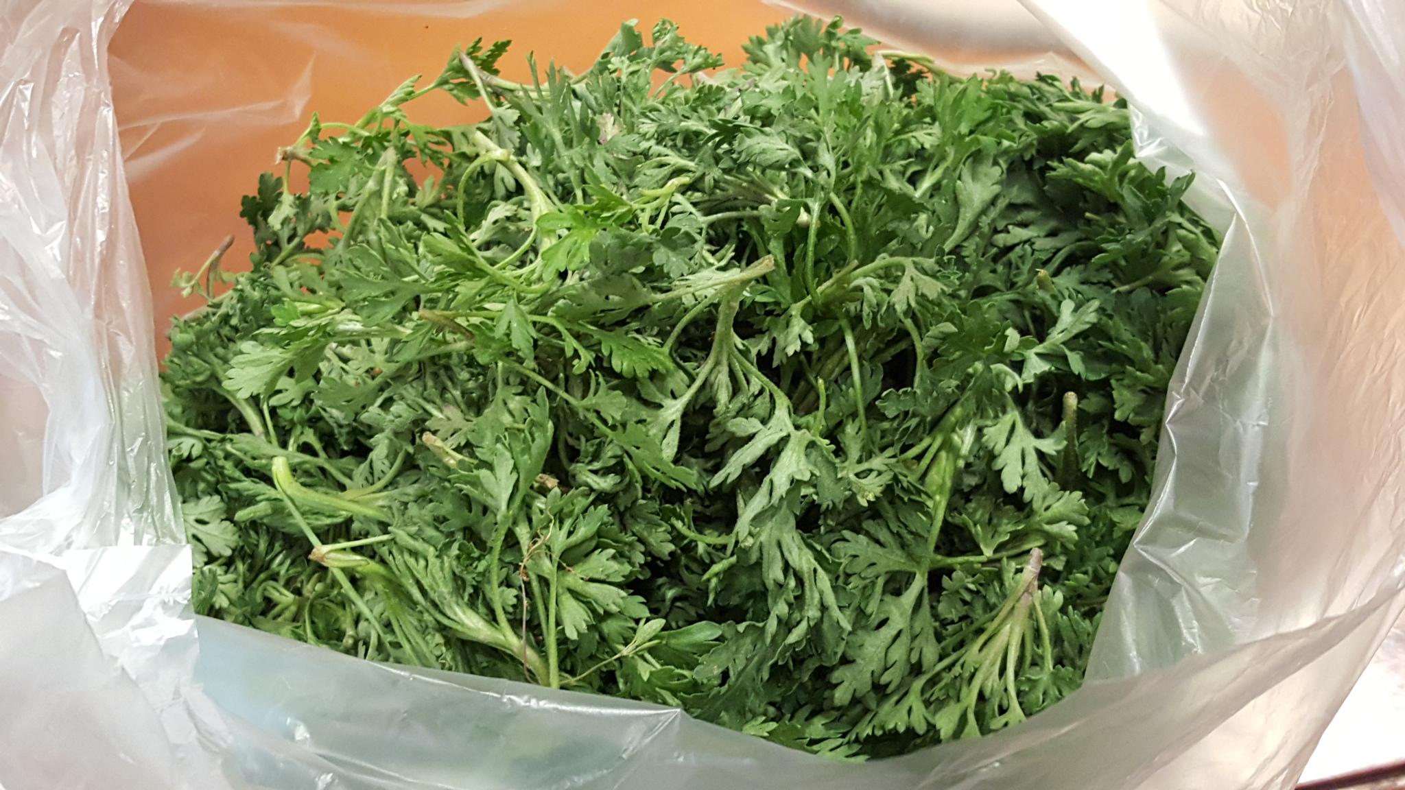 炒苦菊鸡蛋最好吃的做法,清新爽口的菊花菜炒鸡蛋