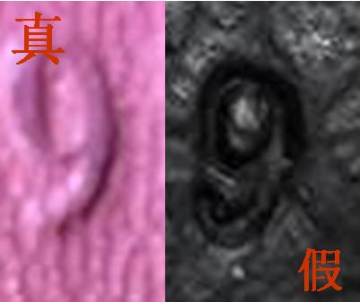 正品包包和假包包怎么辨别,怎么鉴别真假代购包包