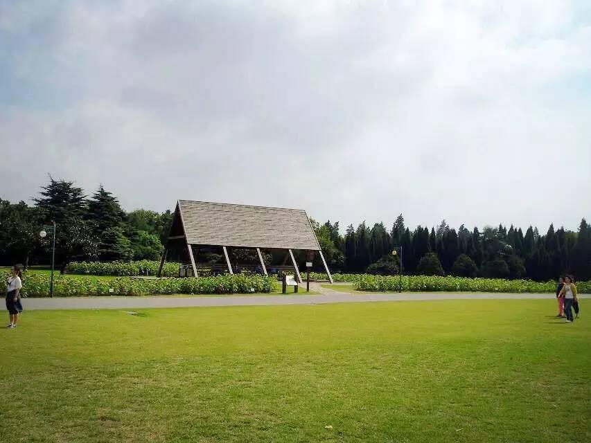 漫步上海魔都秋游的十个好去处,魔都最美的九大公园