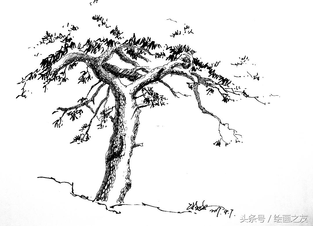 零基础画松树用毛笔画,松树怎么画简单教程