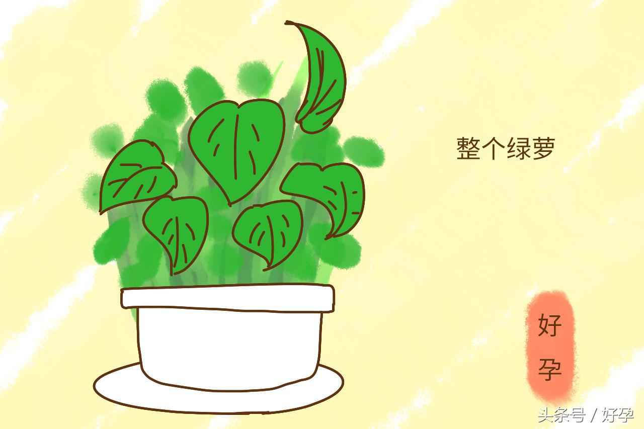 怀孕后哪些不能吃该注意什么,怀孕后有哪些东西要用孕妇专用的