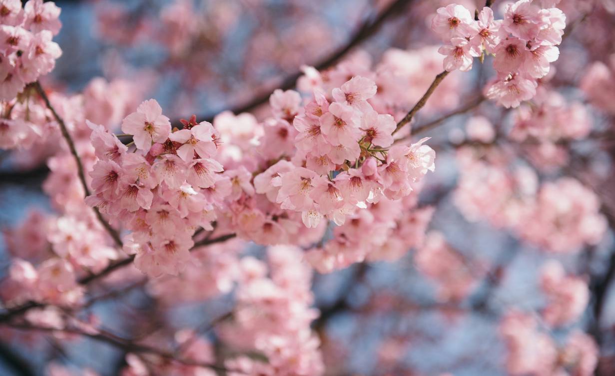 天津最值得去的免费景点,最新天津值得一去的景点推荐
