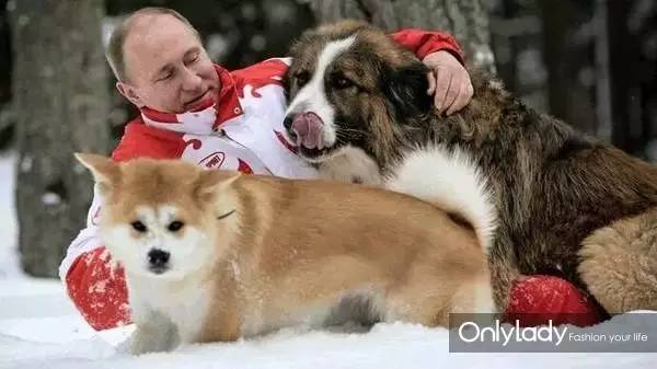 私人飞机？名牌包包？明星合影？这些宠物竟然这么大牌！