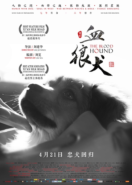 血狼犬看哭人视频,血狼犬感人