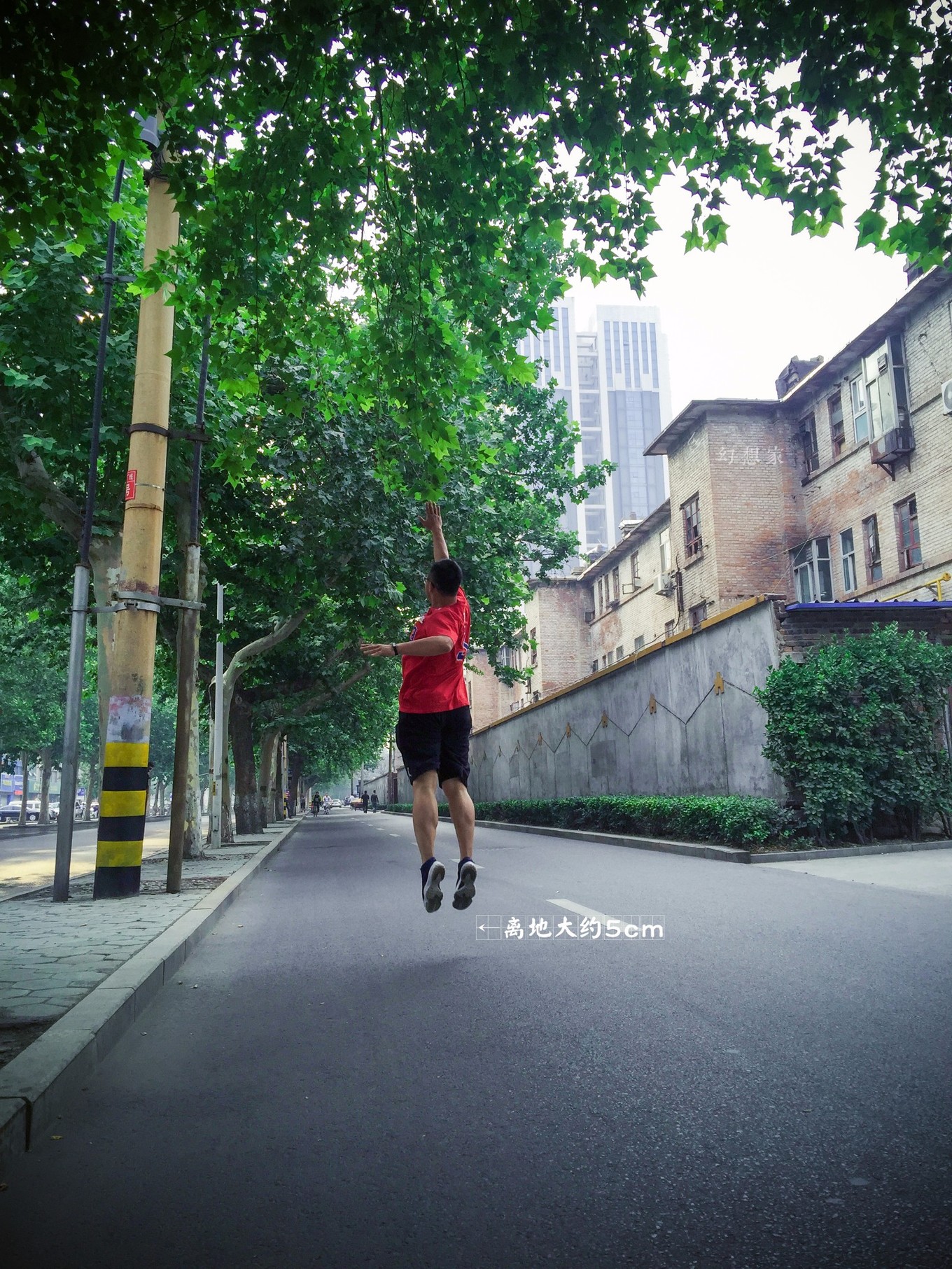 旅行日记青岛,旅行日记凯德mall店