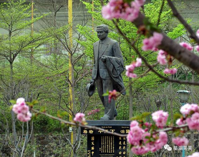 春暖花开正是踏青赏花的好时节,肇庆春日赏花的地方图片