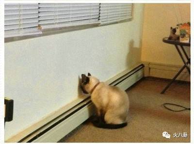 此剧有毒写得太真实越看越过瘾,云巅之上第2季2