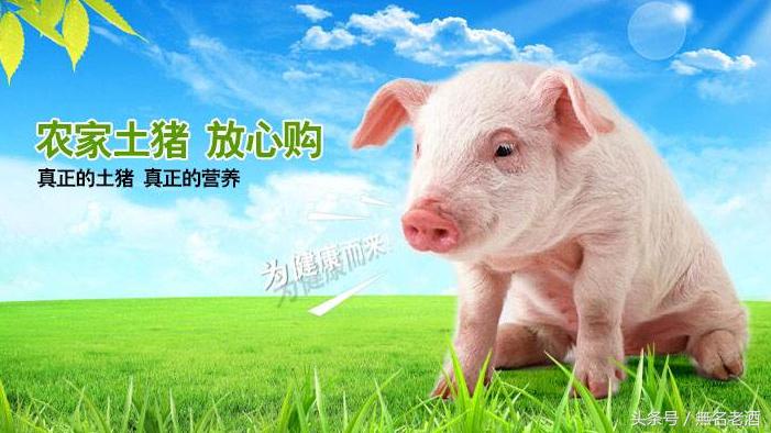 新农村创业致富方法有哪些,农村小本创业致富指南