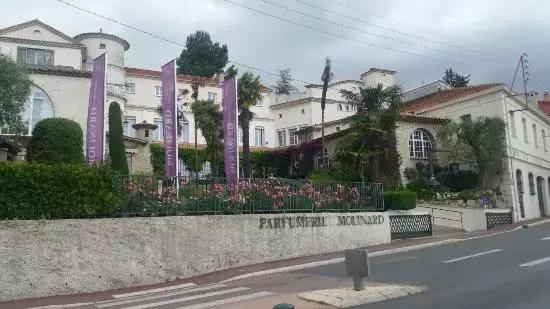 寻味格拉斯,老城下的香水之路!