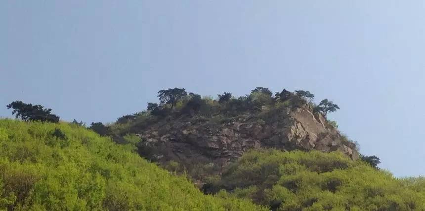 鲅鱼圈附近哪里可以挖野菜,盖州鲅鱼圈挖野菜