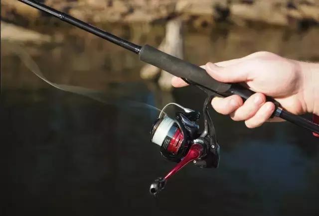 钓鱼创业商机,钓鱼行业如何创业成功案例