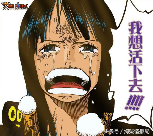 海贼王草帽团船员顺序,海贼王草帽团船员名单