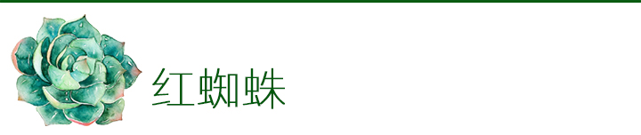 多肉植物如何防治病害,多肉植物病害处理视频