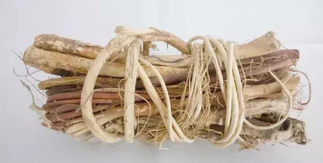 国医大师健脾养胃药膳祛湿汤,暖胃健脾祛湿的汤