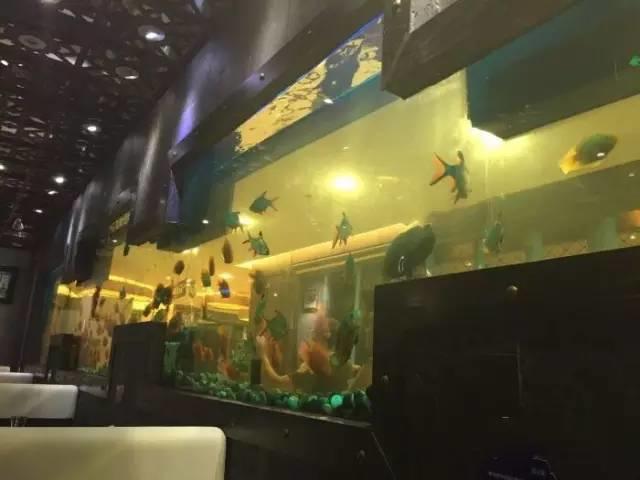 海底捞经典麻辣火锅,海底捞清油麻辣火锅辣吗