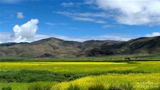 川藏线包车哪里找司机,四平川藏线自驾游包车