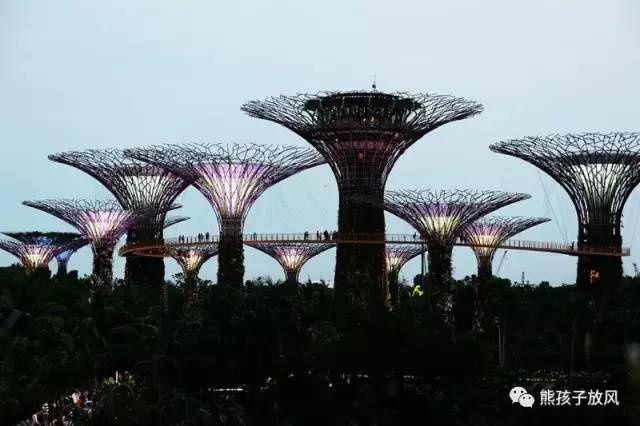 带孩子去新加坡游玩三天攻略 (带娃新加坡旅游攻略)