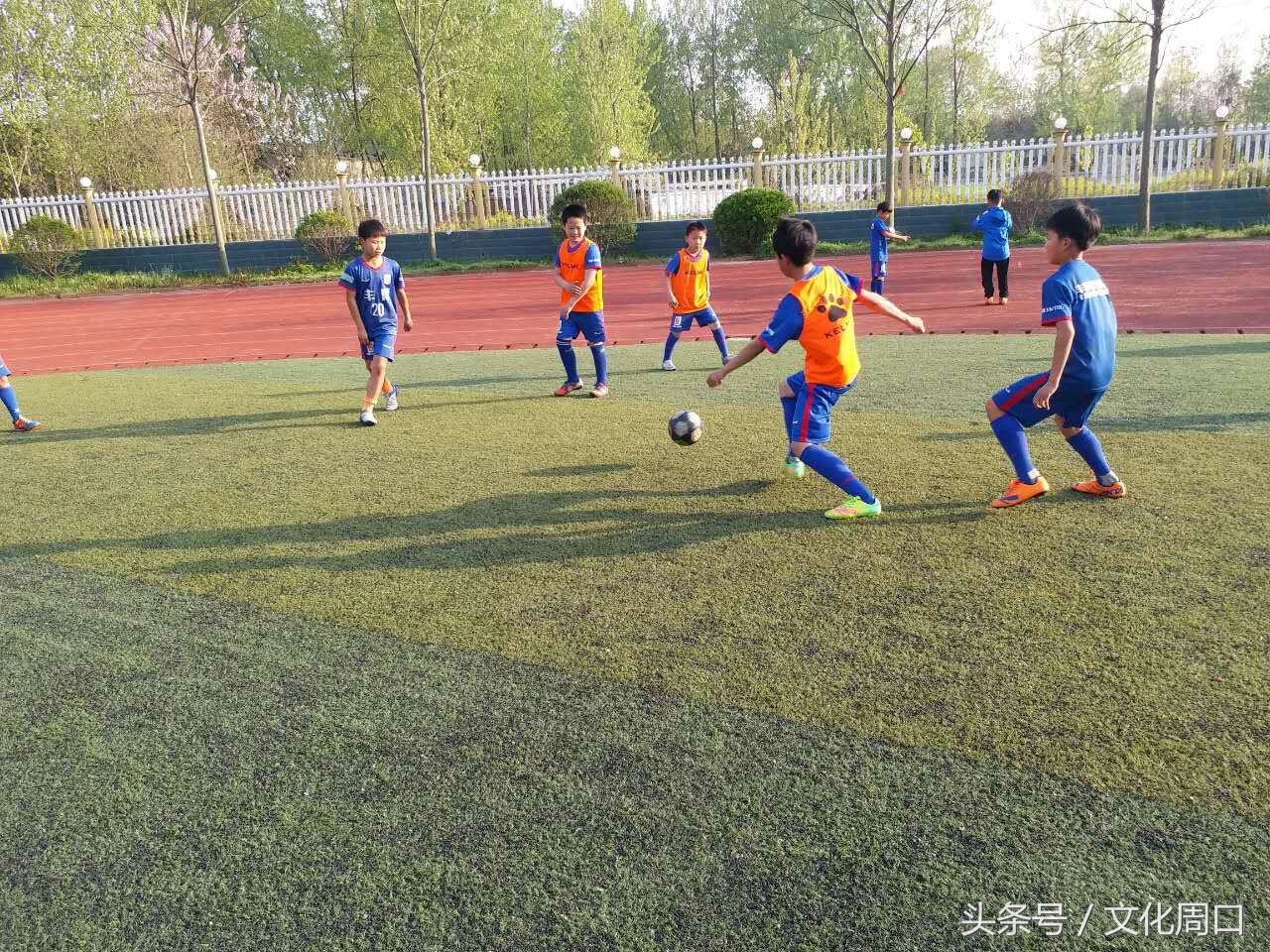 视觉周口｜正在集训的周口足球小子，看看有您认识没