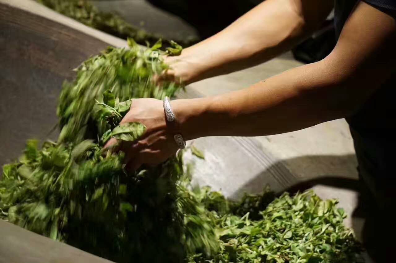 普洱茶喝起来舌根发麻,喝普洱茶舌头发麻是什么原因