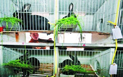 想在农村创业有没有什么好的项目,农村创业5个好项目