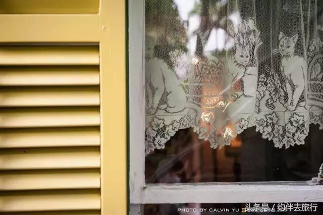 南佛罗里达：阳光眷顾的自由乐土