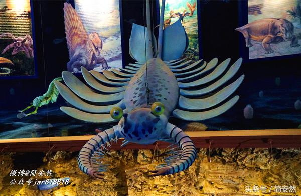 几亿年前海洋生物,生命摇篮澄江老照片