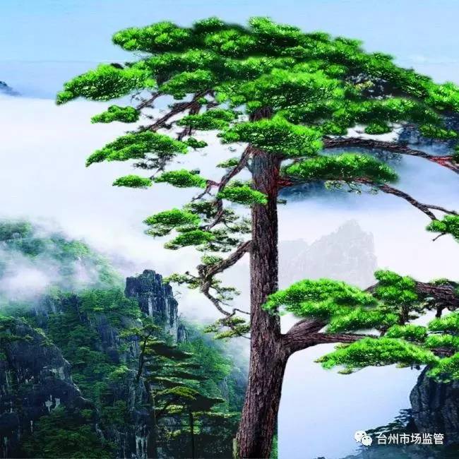 正宗天下第一粉是真的吗,天下第一粉真的假的