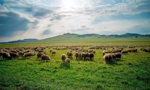 唐山最新省级试点,全省唯一唐山入选国家级试点城市