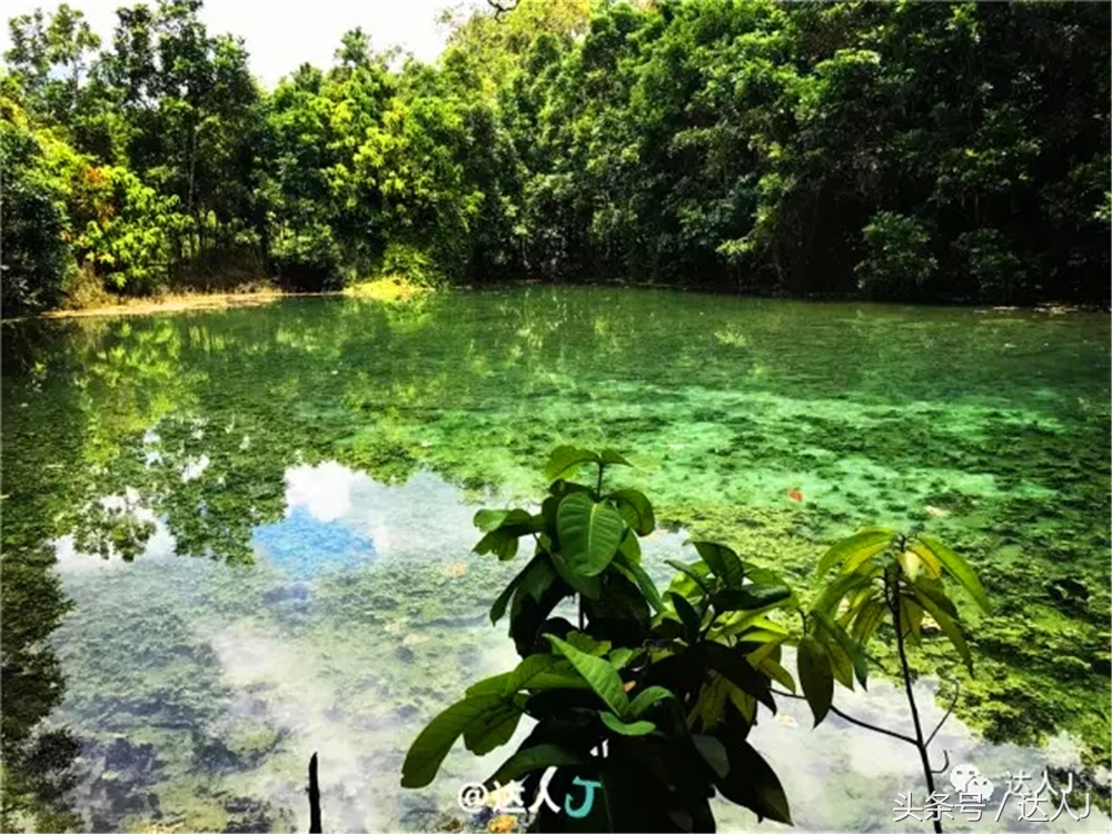 显然不适合玩婚内出轨！全泰国最大的泳池原来在这里