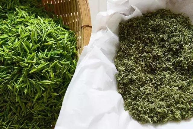 喝茶到底要不要繁杂的茶道,喝茶人必知的十种茶道行话