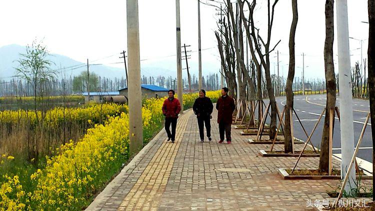 鏋炲窛灞辨按,鏋炲窛