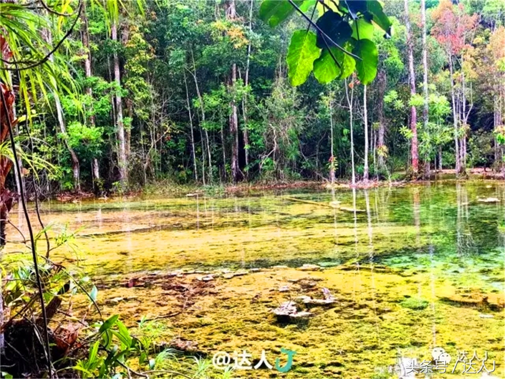 显然不适合玩婚内出轨!全泰国最大的泳池原来在这里
