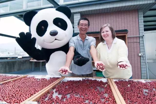 那些整天旅游的人怎么赚钱,全球旅行的人靠什么生活的