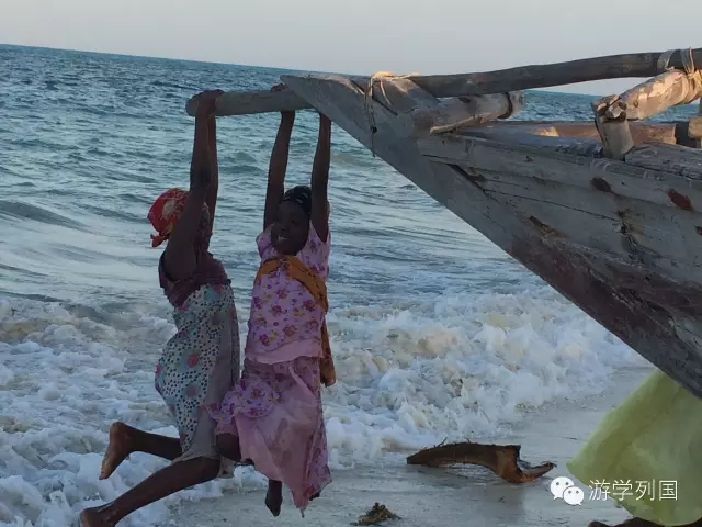 一生必去一次的非洲坦桑尼亚｜回归狂野