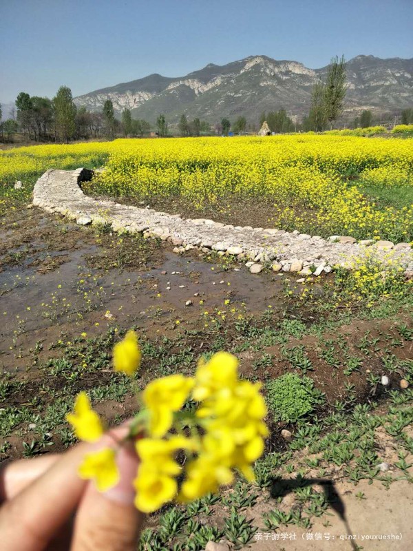 春游记浪漫花季,花谷踏青赏花春游记