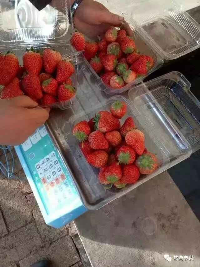 辽源赏花的地方,辽源最佳观花位置